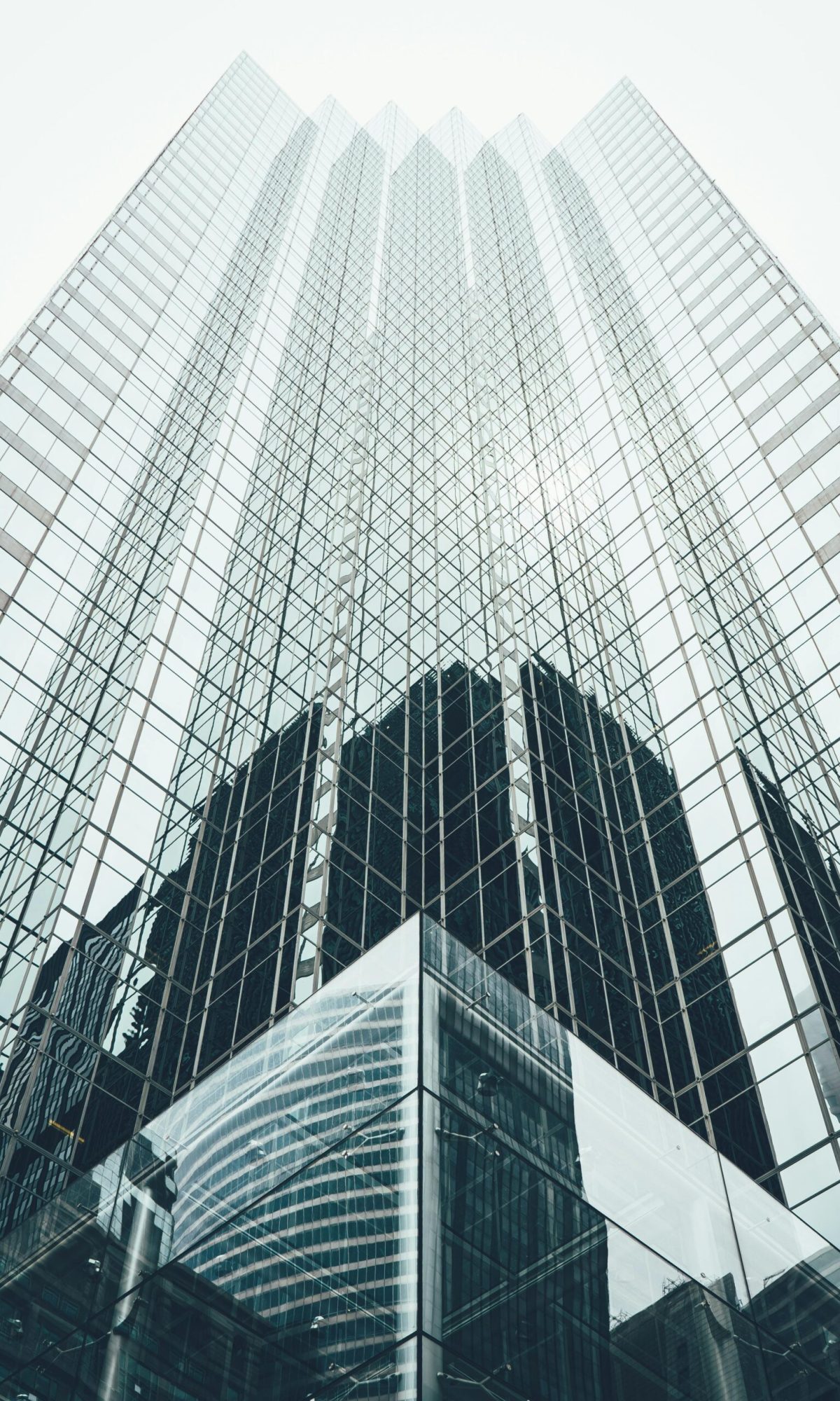 pexels-rickyrecap-1662159